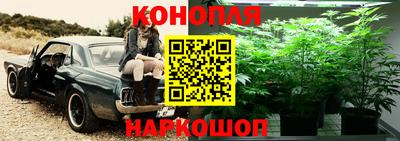 стафф Обнинск