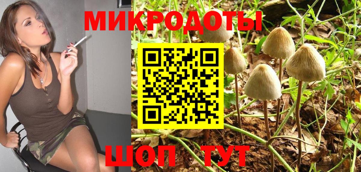Псилоцибиновые грибы Cubensis Сибай