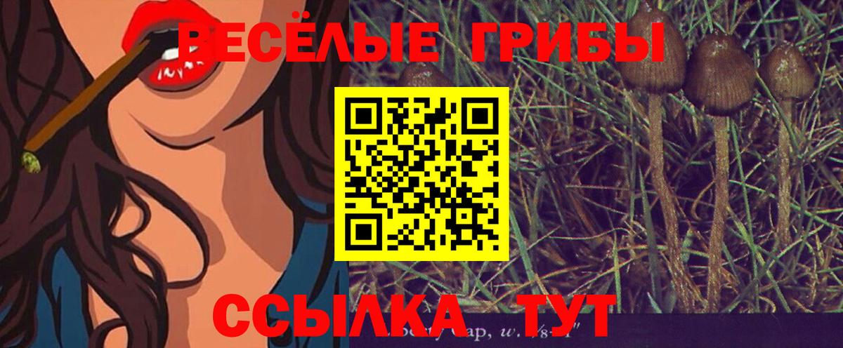 Сибай  Псилоцибиновые грибы ЛСД  Вход с VPN 